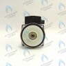 PH-W30CW60-WC86BX-Комп Двигатель насоса 12/6 аналог WILO (без улитки) (12/6, 15/6) WILO 86w MSL 12/6-3 C (30мм по часовой) FERROLI, FONDITAL, BAXI и др в Самаре