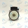 PH-W30CW60-WC86BX-Комп Двигатель насоса 12/6 аналог WILO (без улитки) (12/6, 15/6) WILO 86w MSL 12/6-3 C (30мм по часовой) FERROLI, FONDITAL, BAXI и др в Самаре