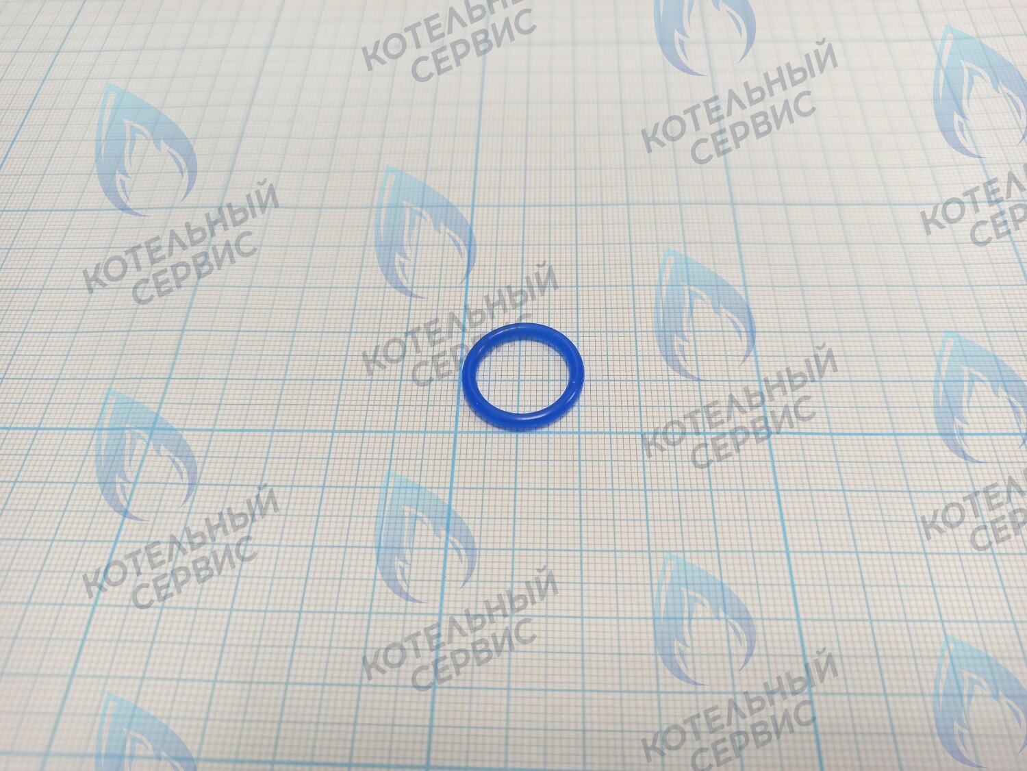 20007019A Кольцо уплотнительное O-ring Navien (SILICONE,P16,Bl) (BH2423090A) в Самаре