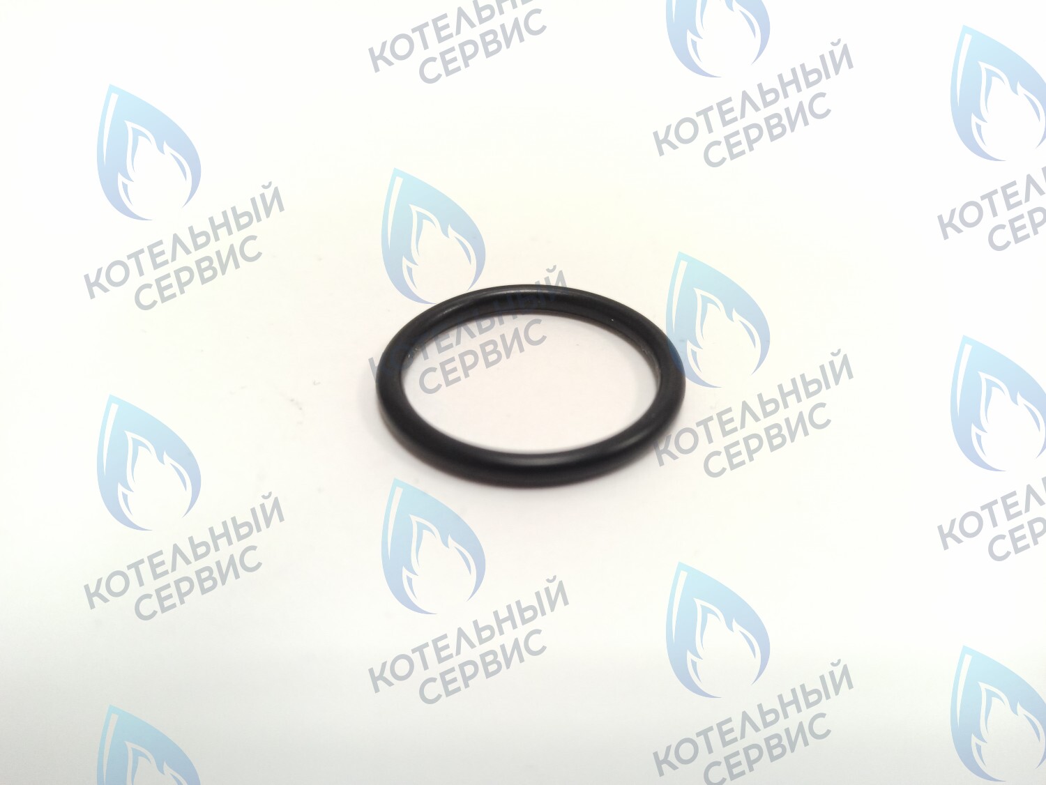 0020118729 Прокладка 23.81 x 2.62 Protherm Lynx (H-RU), Ягуар JTV, Гепард (H-RU) в Самаре