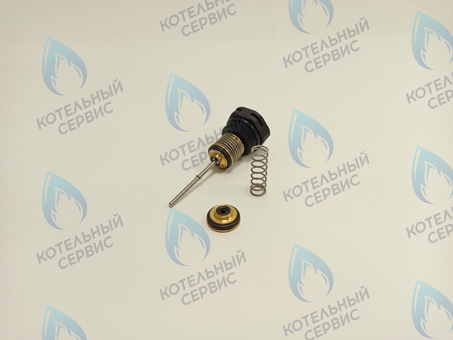 P0000108345 Шток в сборе для котла RE OASIS в Самаре