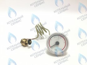 1421 Манометр Ǿ 43 (48002353) 048006234, 0020038686