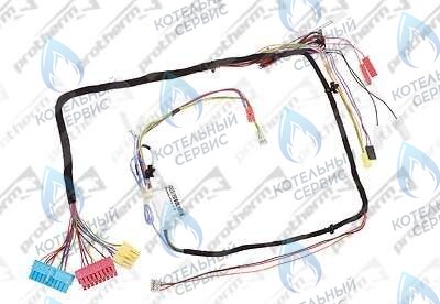0020098000 Жгут проводов PROTHERM в Самаре