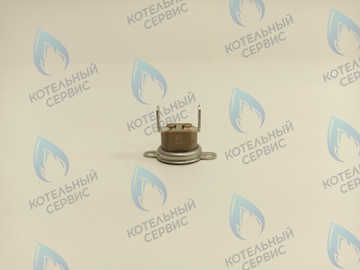 39820770 Термостат дымовых газов аварийный 70С Ferroli в Самаре