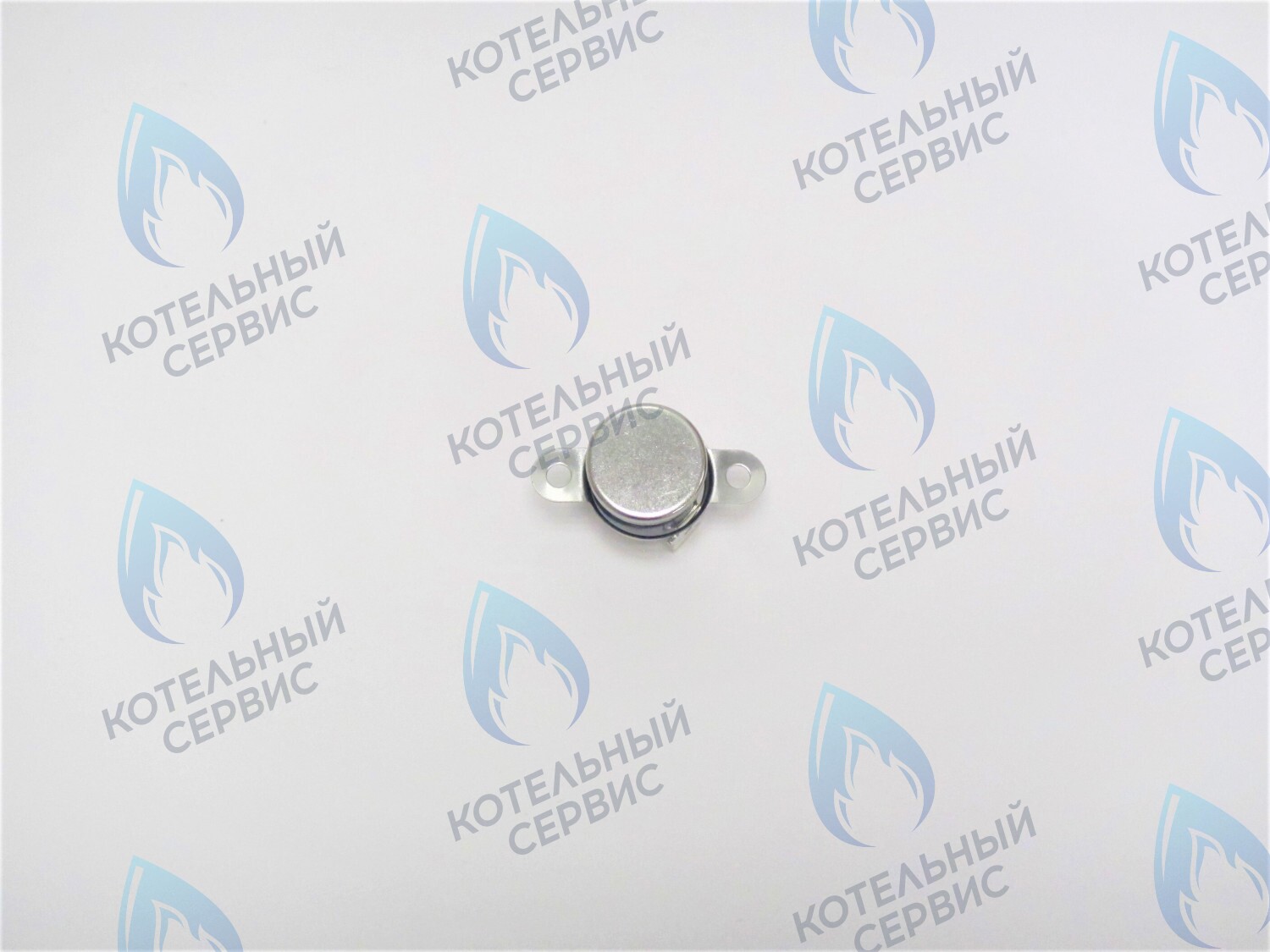 05-5007 Термостат отходящих газов Alpine Light POLYKRAFT в Самаре