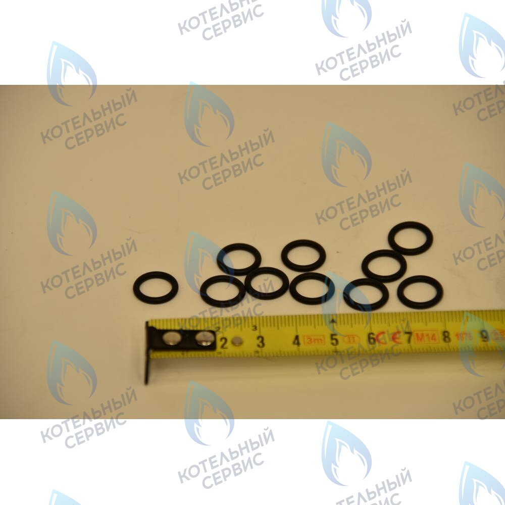 710048800 Уплотнение кольцевое 8,9X1,9 BAXI в Самаре