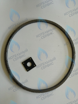 39847430 Уплотнение горелки FERROLI в Самаре