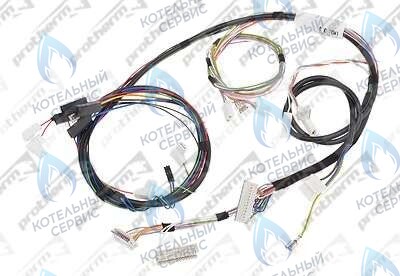 0020044908 Жгут проводов 24BTV17 PROTHERM в Самаре