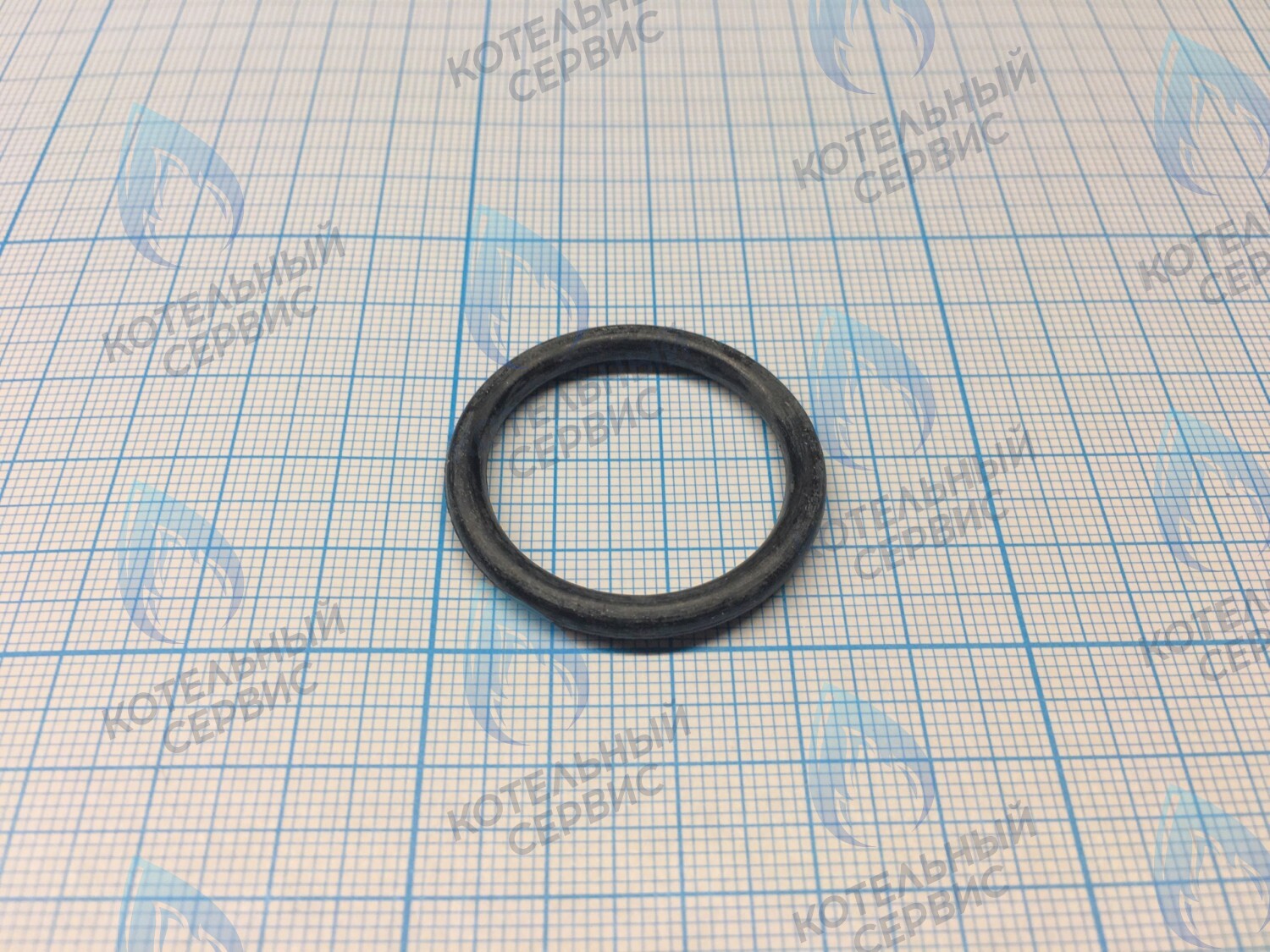 3080016 Кольцо уплотнительное насоса  CELTIC-DS PLATINUM (все модели) (3080016) в Самаре