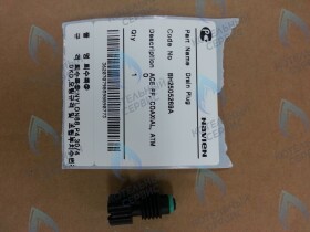 Пробка для насоса (NAPU9GLPCT36), Atmo 13-24A(N), NCN 21-40K, Deluxe 13-40K, Deluxe Coaxial 13-30K, Ace 13-40K, Ace Coaxial 13-30K NAVIEN (BH2505269A)