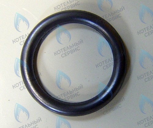 0020020741 Прокладка PROTHERM в Самаре