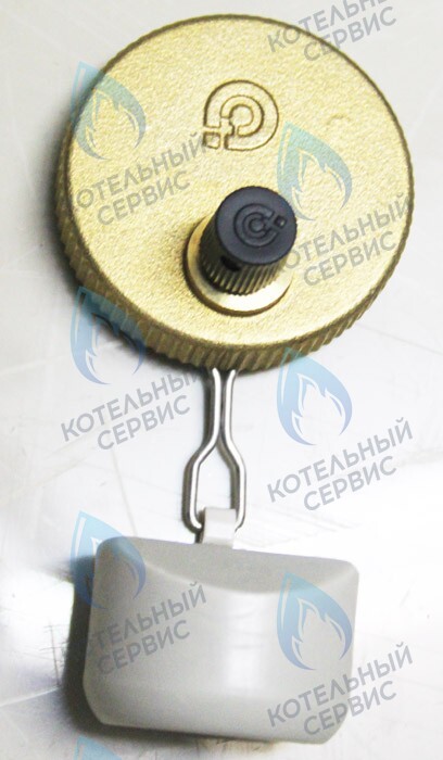 0020035044 Клапан воздухоотводчика PROTHERM в Самаре