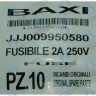 9950580 Предохранитель плавкий (2 А- 250 В) BAXI в Самаре