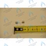 9950580 Предохранитель плавкий (2 А- 250 В) BAXI в Самаре