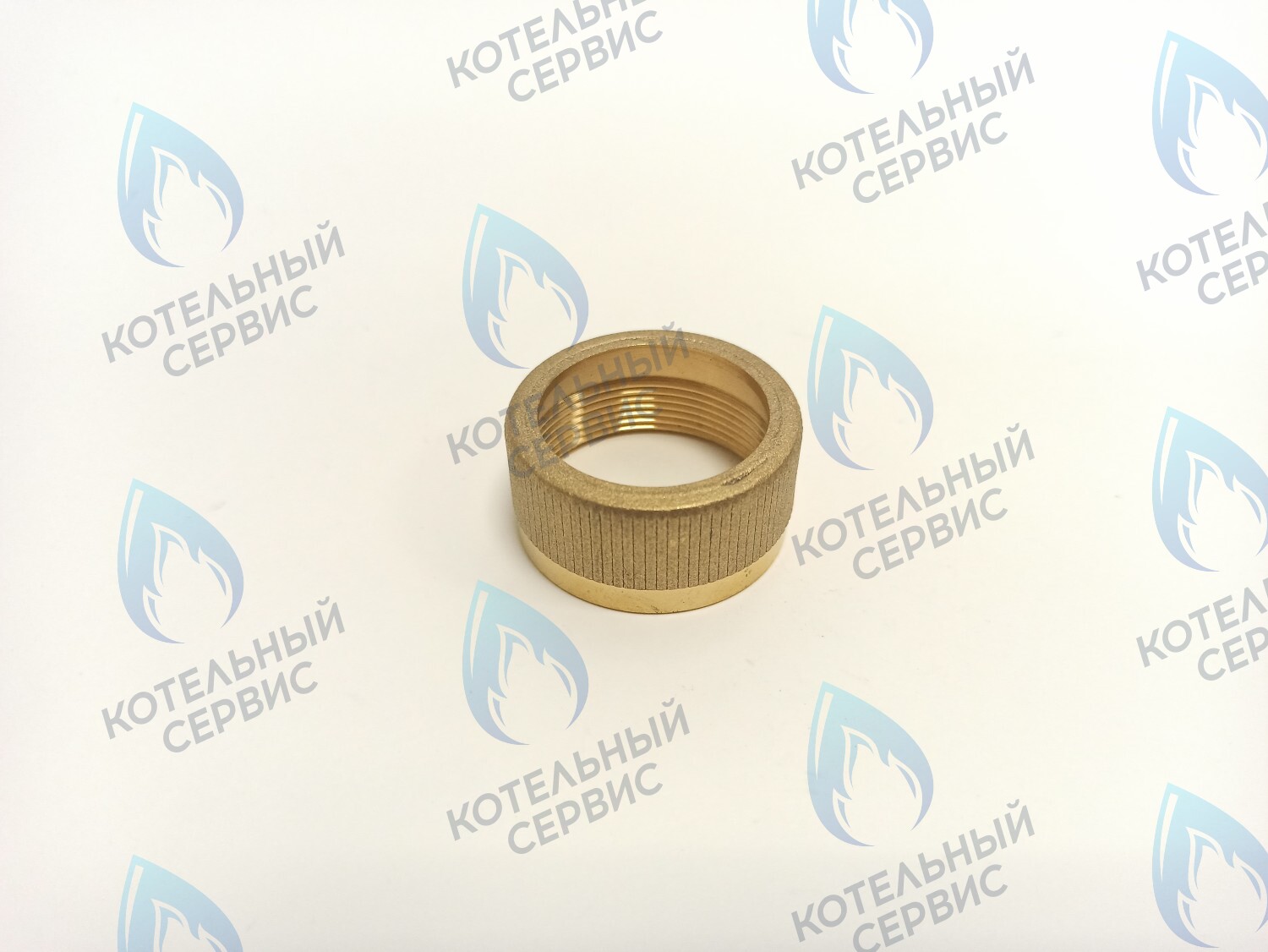 GGT101 Крепление мотора к трехходовому клапану VAILLANT в Самаре