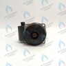 PH-W30CW60-WL93BX Двигатель насоса (без улитки) WILO RS 15/6 93w (30мм по часовой) FERROLI, FONDITAL, BAXI и др в Самаре