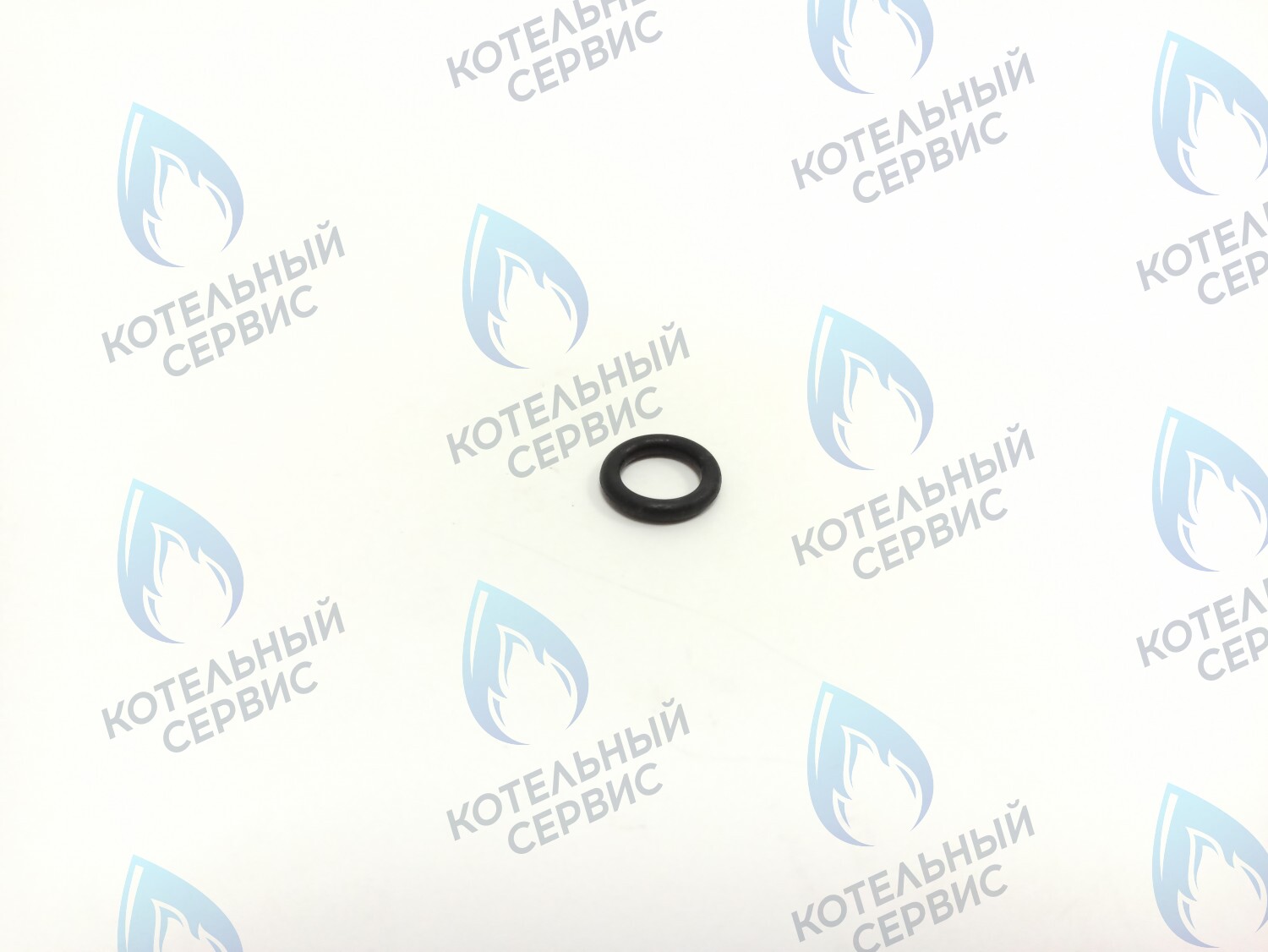 BI1262 113 Прокладка O-Ring 2,62 X 9,92 (BI1262 113) ELECTROLUX в Самаре