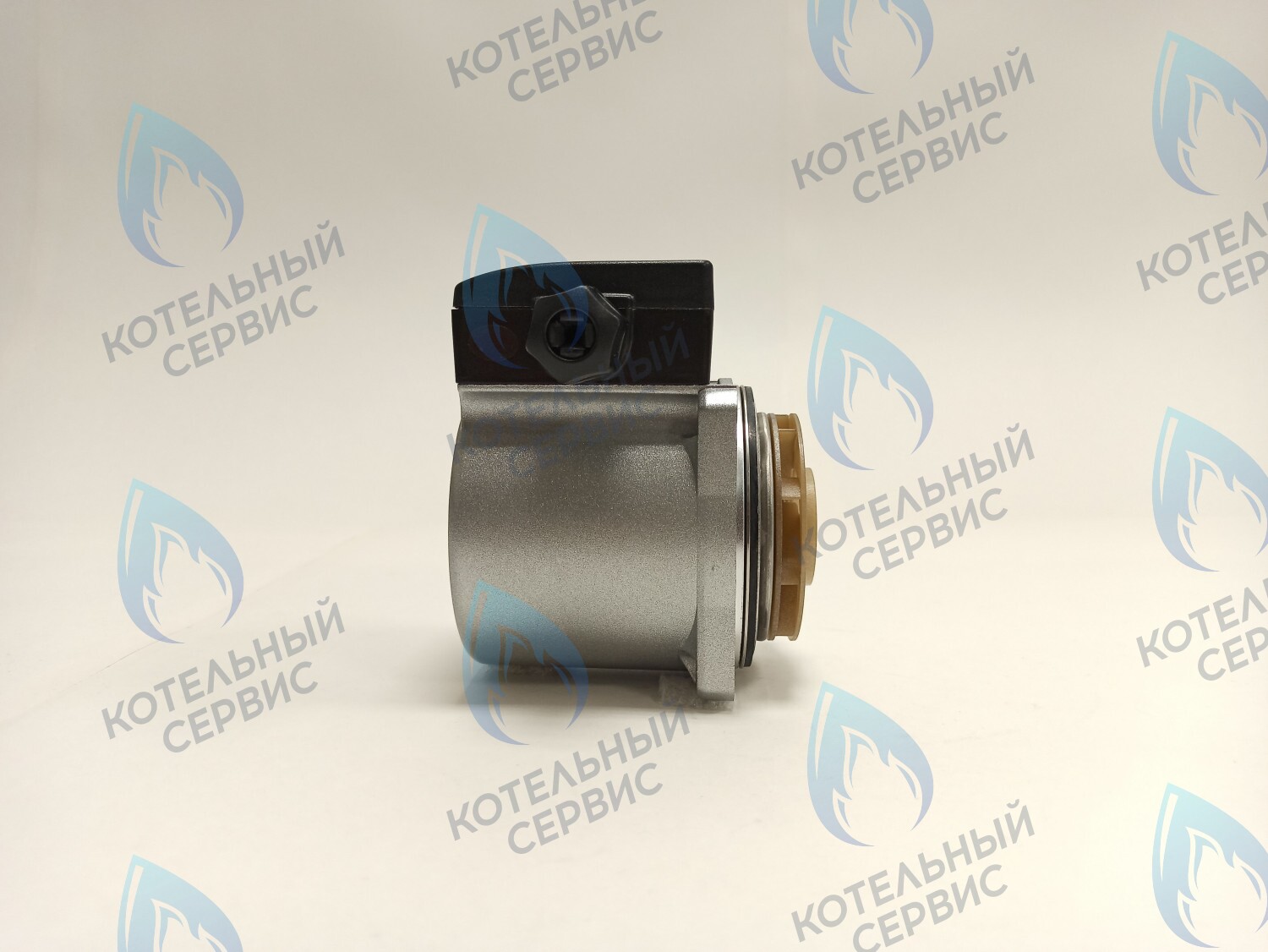 PH-G30CCW50-DG75 Двигатель насоса DUCA GX 15-50, аналог GRUNDFOS 15-50, 75W в Самаре