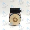 PH-P30CCW60-GB120 Двигатель насоса (против часовой) DD15-60 для Protherm (0020119604, 0020207146) в Самаре