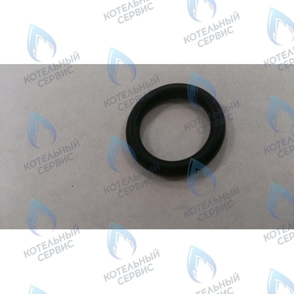 6399440050 Уплотнение кольцевое 3X14X20 BAXI в Самаре