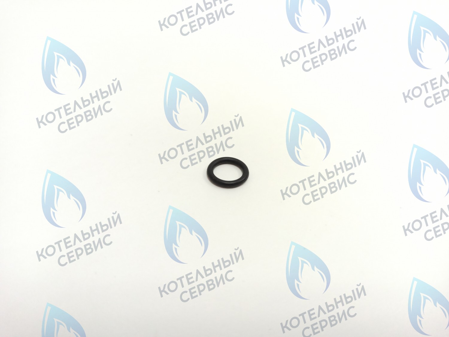 BI1351 113 Прокладка O-Ring 1,9 Х 12,7 (BI1351 113) ELECTROLUX в Самаре