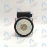 PH-W30CW50-GW95BX Двигатель насоса PUMP WA15/5 (без улитки) (по часовой стрелке) 15/5 (замена WILO 15/5 BAXI, NEVALUX, THERMONA, PROTHERM СКАТ K11) в Самаре