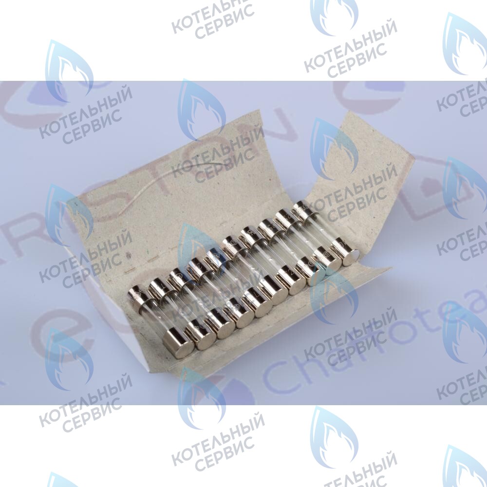 61003456 Предохранитель 250v 2a CHAFFOTEAUX в Самаре