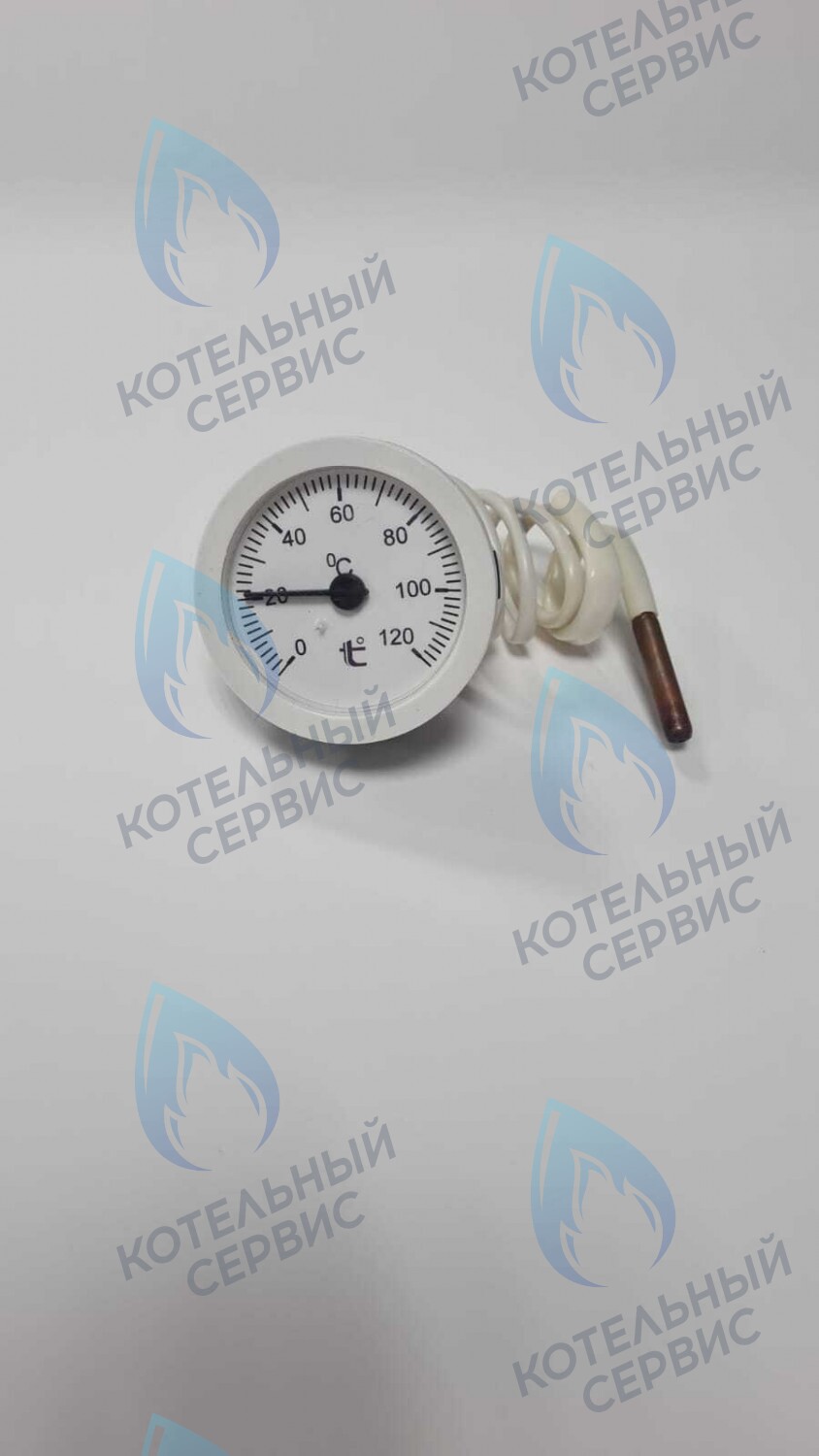 ST002-02 Термометр капиллярный круглый белое кольцо d 51,5 мм, длина капилляра 550 мм, 0-120С в Самаре
