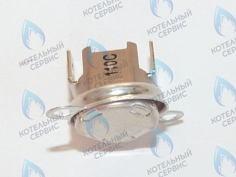 87172061620 Ограничитель нагрева STB 110°C U02X/U04X/U05X/ZSA/ZWA/ZWE BUDERUS в Самаре