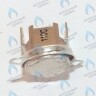 87172061620 Ограничитель нагрева STB 110°C U02X/U04X/U05X/ZSA/ZWA/ZWE BUDERUS в Самаре