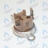 87172061620 Ограничитель нагрева STB 110°C U02X/U04X/U05X/ZSA/ZWA/ZWE BUDERUS в Самаре
