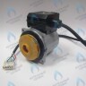 PH-W21CCW50-GW95R-5PIN Двигатель насоса WR15/5-2V (против часовой стрелки) PROTHERM Пантера 25 KTV H-RU (0020197548), Гепард, Пантера V.19 (только для ТУРБО!) (0020097216) (замена WILO INTVACL 15/5-2) в Самаре
