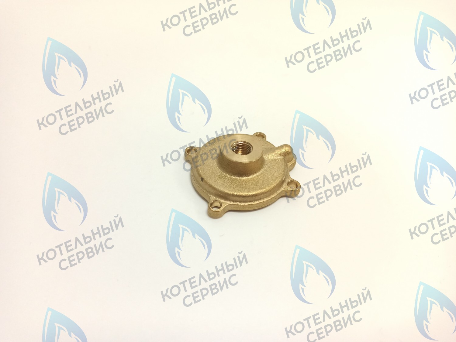 50101027 Крышка датчика протока (50101027) ELECTROLUX в Самаре