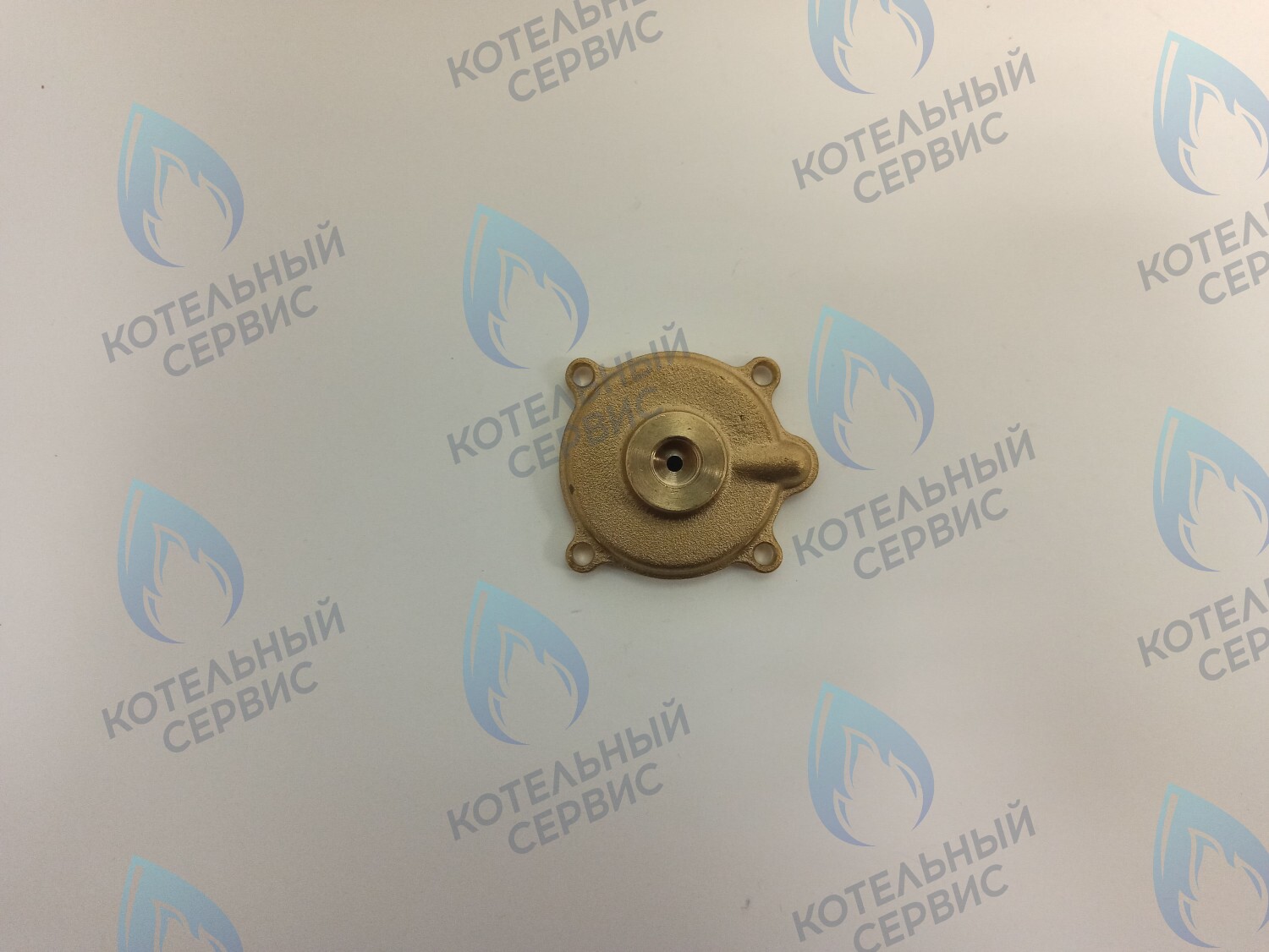 50101027 Крышка датчика протока (50101027) ELECTROLUX в Самаре