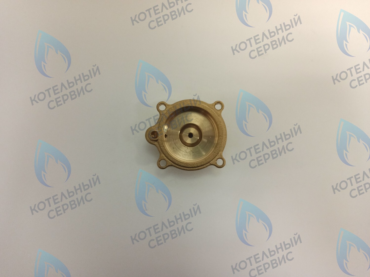 50101027 Крышка датчика протока (50101027) ELECTROLUX в Самаре