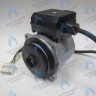 PH-W21CW70-GW140-5PIN Двигатель насоса WS15/7-2V (по часовой стрелке) VAILLANT turboTEC plus 32-36 КВТ (0020016540) (замена для WILO VPAR SL 15/7 HE-2) в Самаре