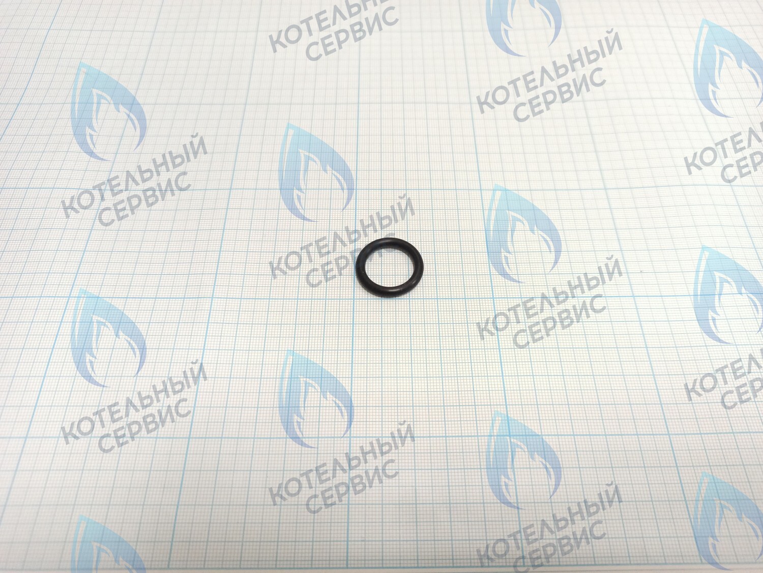 TY02020049 Прокладка O-Ring 25x18x3.55 (TY02020049) ROYAL THERMO в Самаре