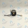 PH-W21CW50-DA84-4PIN Двигатель насоса DUCA APW 15-5.2A (2 скорости) аналог Wilo Ariston (65104319, 60000591) в Самаре