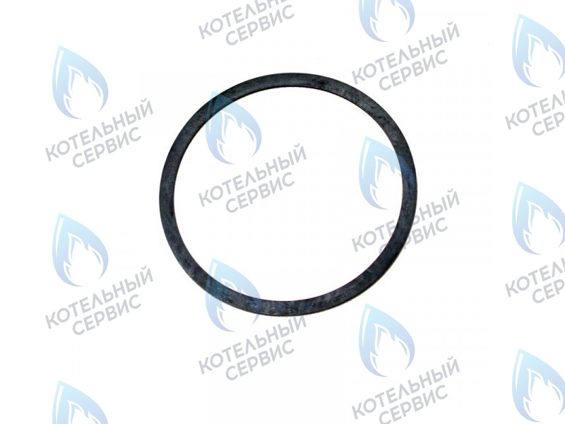  Кольцо уплотнительное циркуляционного насоса Wilo для котлов Viessmann в Самаре