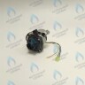 PMDS1AW50-WA82DS-Комп Насос циркуляционный 5м для MASTER GAS SEOUL 11-24 (2050118, 2050130), DAESUNG A16-24 (52050118, 52050130), ARDERIA 2.13-20, CELTIC-DS 3.13-3.20 (2050118, 2050130) в Самаре