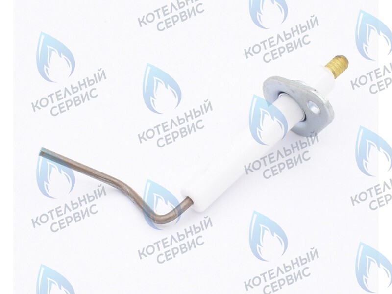0020097415 Электрод ионизации Protherm Леопард 24 MTM-CC/1 (H-RU) в Самаре
