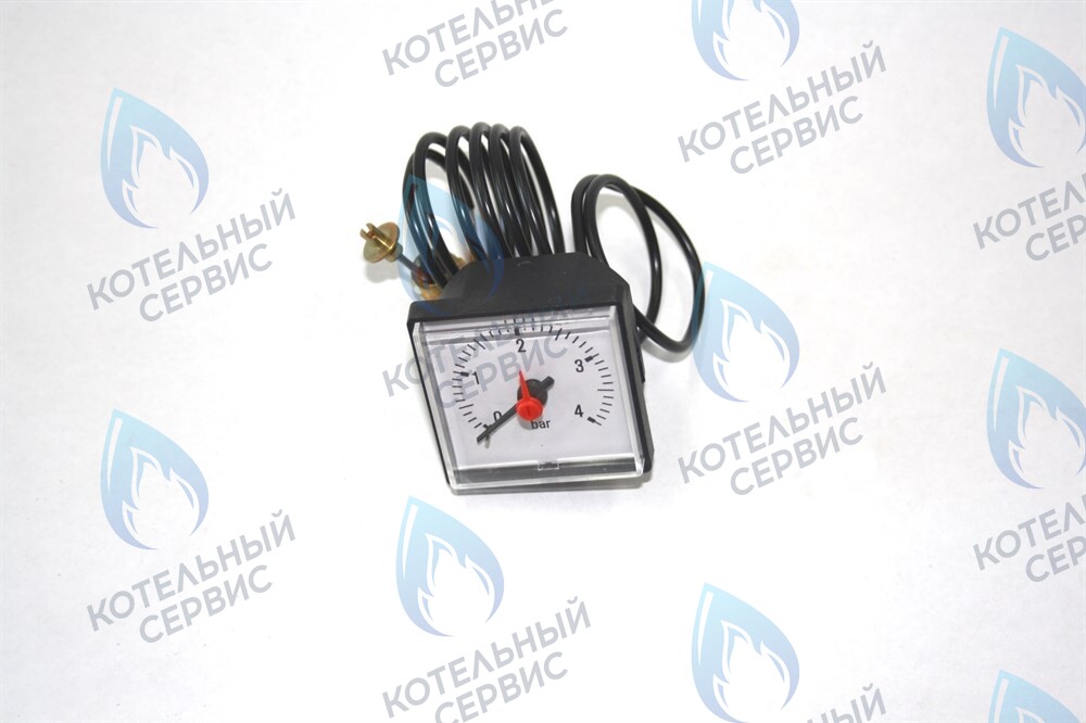 0020027570 Манометр белый Protherm PLO KLO KLZ в Самаре