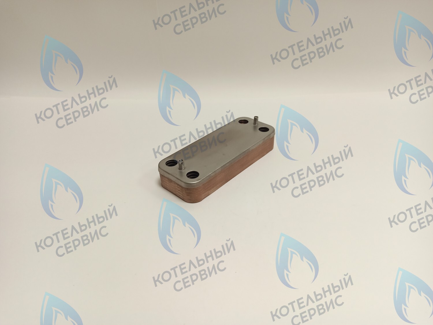 ES190P-160-12F-CH Теплообменник ГВС вторичный 12 пластин Thermex Xantus (19035015), Baltgaz Turbo (28891) в Самаре