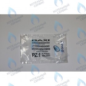 винт фиксирующий теплообменника ГВС BAXI